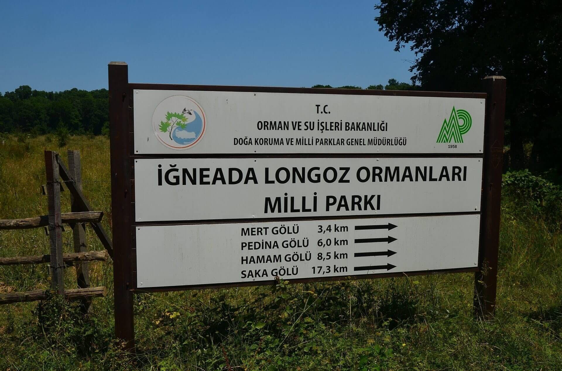 İğneada Longoz Ormanları Kamp Alanı