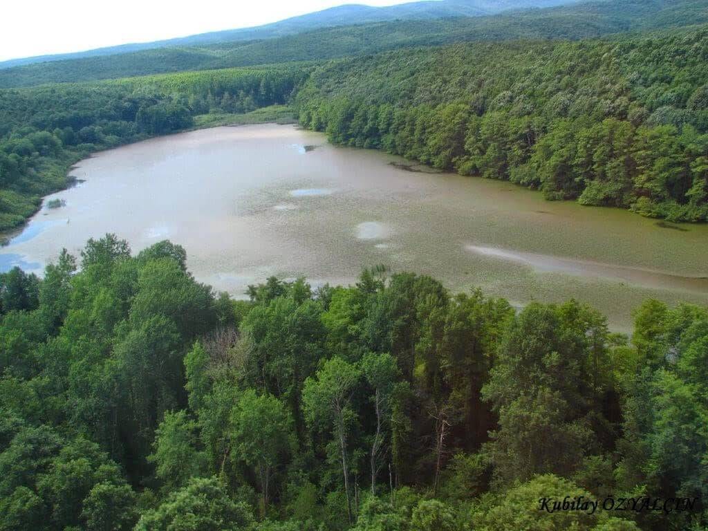 İğneada Gölleri: Türkiye’nin Korunan Doğal Cennetleri