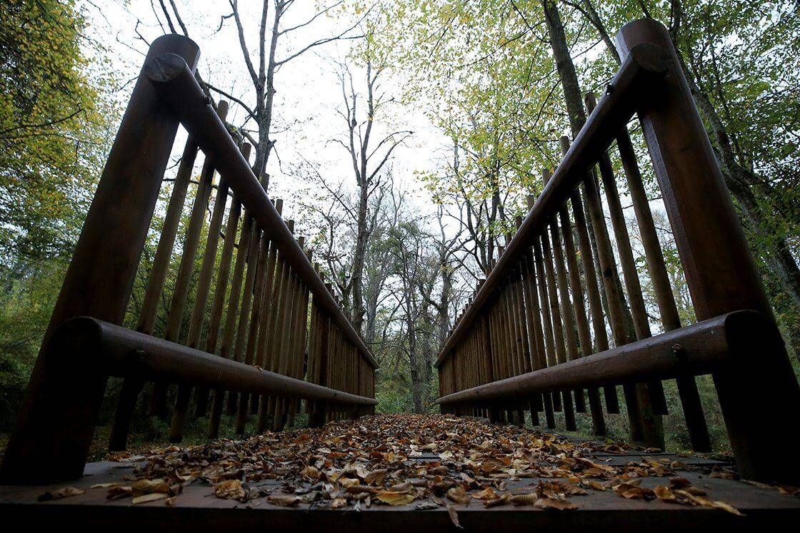 İğneada Longoz Ormanları Doğa Yürüyüşü (Erikli Gölü Bölgesi)