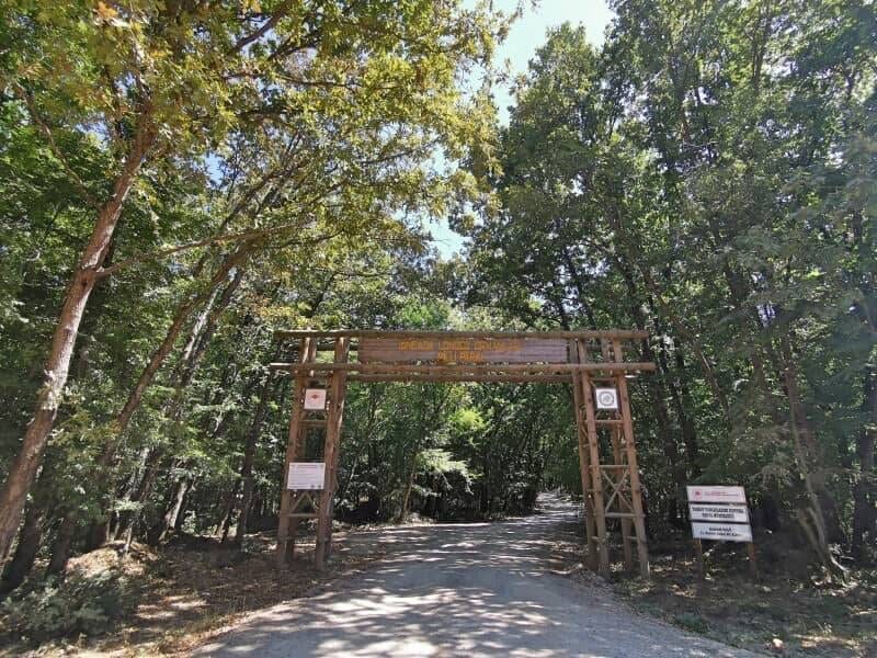 İğneada Longoz Ormanları Milli Parkı