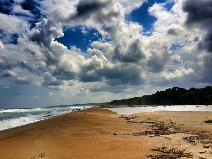 İğneada Longoz Ormanları