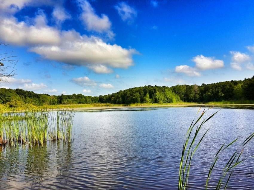 İğneada Longoz Ormanları