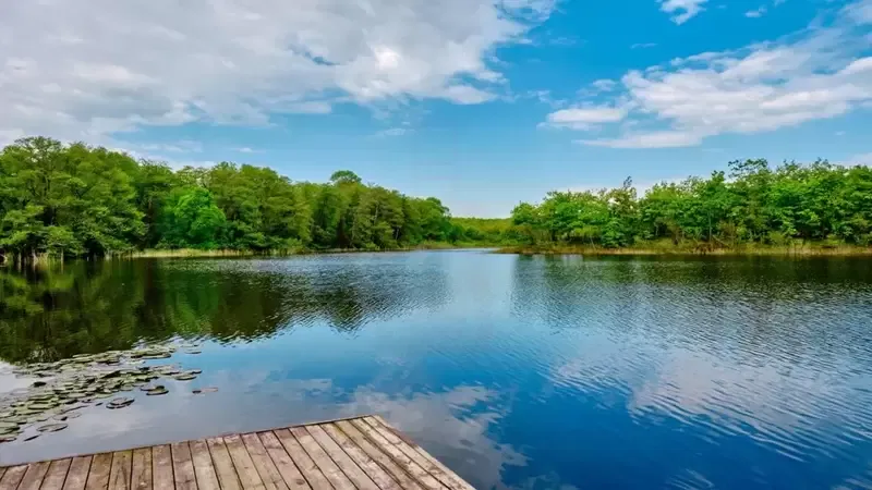 İğneada Longoz Ormanları