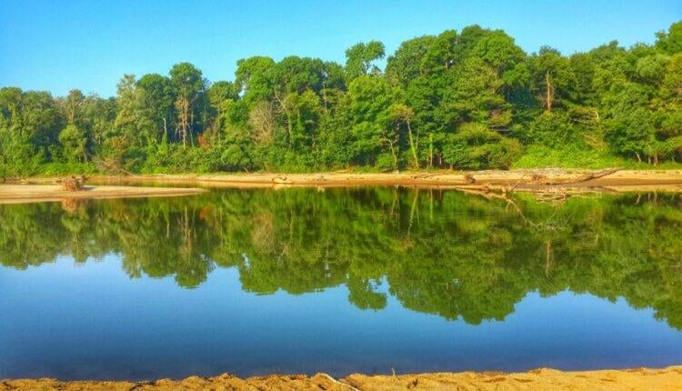 İğneada Longoz Ormanları