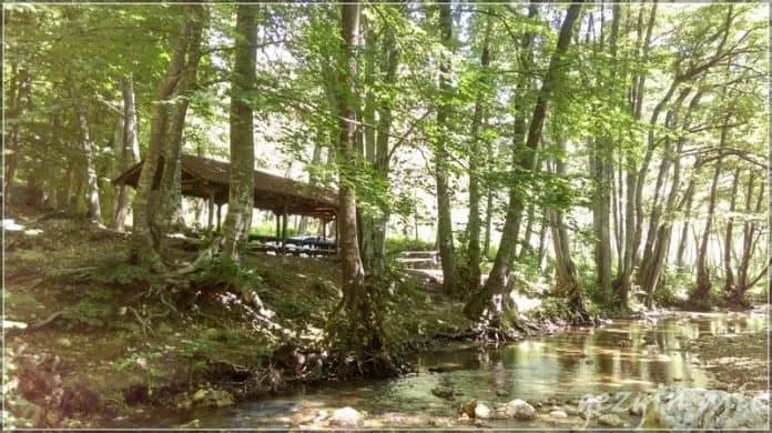 İğneada’da Kamp Yapılacak En İyi Yerler! 10 Balaban Kamp ve Piknik Alanı