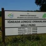 İğneada görselleri 4 İğneada Longoz Ormanları Kamp Alanı