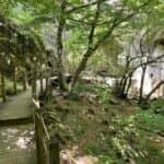 Dupnisa Mağarası Resimleri 13 Dupnisa Mağarası