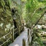 Dupnisa Mağarası Resimleri 14 Dupnisa Mağarası