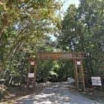 İğneada görselleri 3 İğneada Longoz Ormanları Milli Parkı