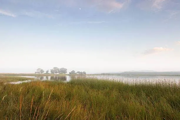 İğneada Mert Gölü