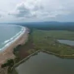 İğneada görselleri 14 İğneada Longoz Parkı