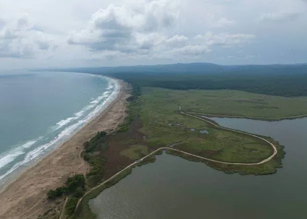 İğneada Longoz Parkı