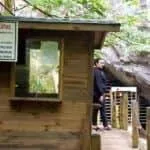 Dupnisa Mağarası Resimleri 22 Dupnisa Mağarası