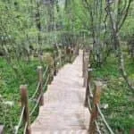 Dupnisa Mağarası Resimleri 1 Dupnisa Mağarası