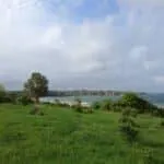 İğneada görselleri 15 rezovo