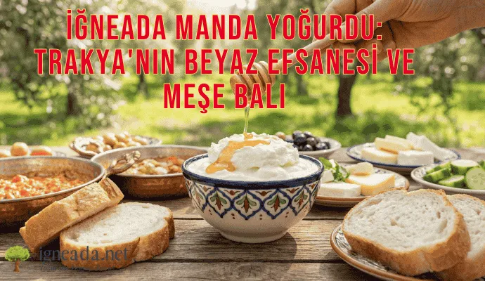 İğneada Manda Yoğurdu: Trakya’nın Beyaz Efsanesi ve Meşe Balı